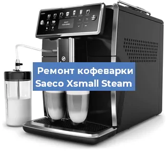Чистка кофемашины Saeco Xsmall Steam от кофейных масел в Перми